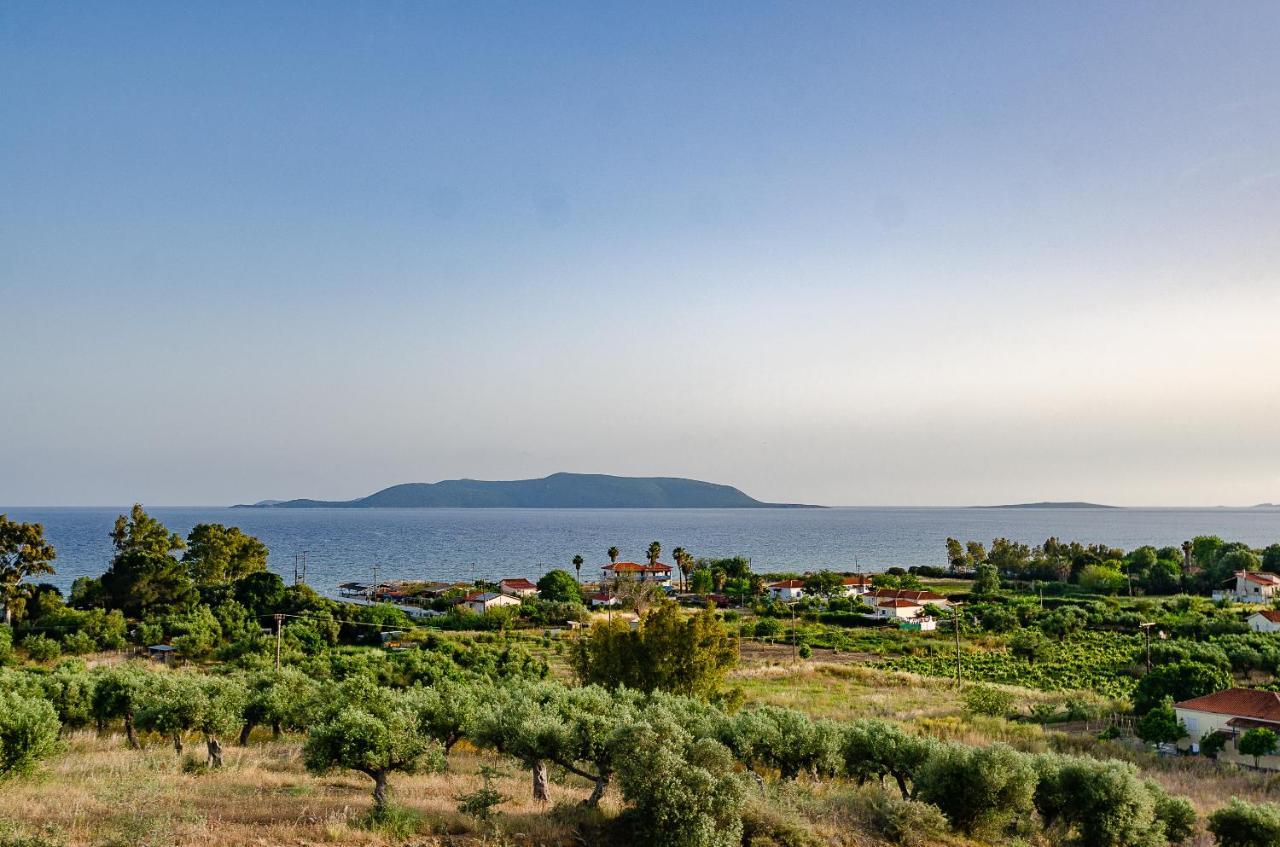 Salandore Blue Finikúnda Kültér fotó